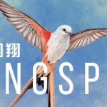 展翅翱翔/WINGSPAN（整合最新语言包）